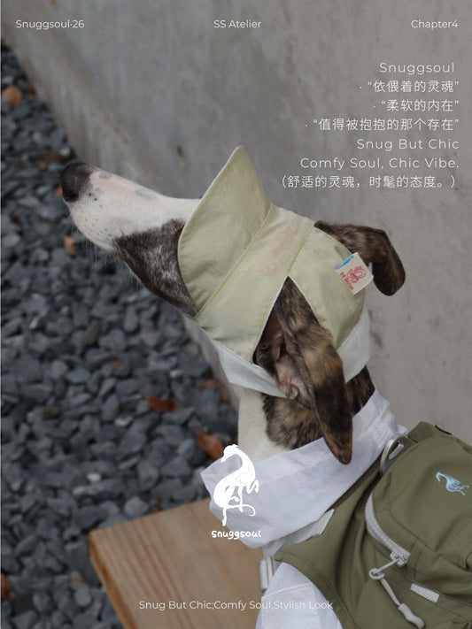 Reversible Embroidered Pet Hat