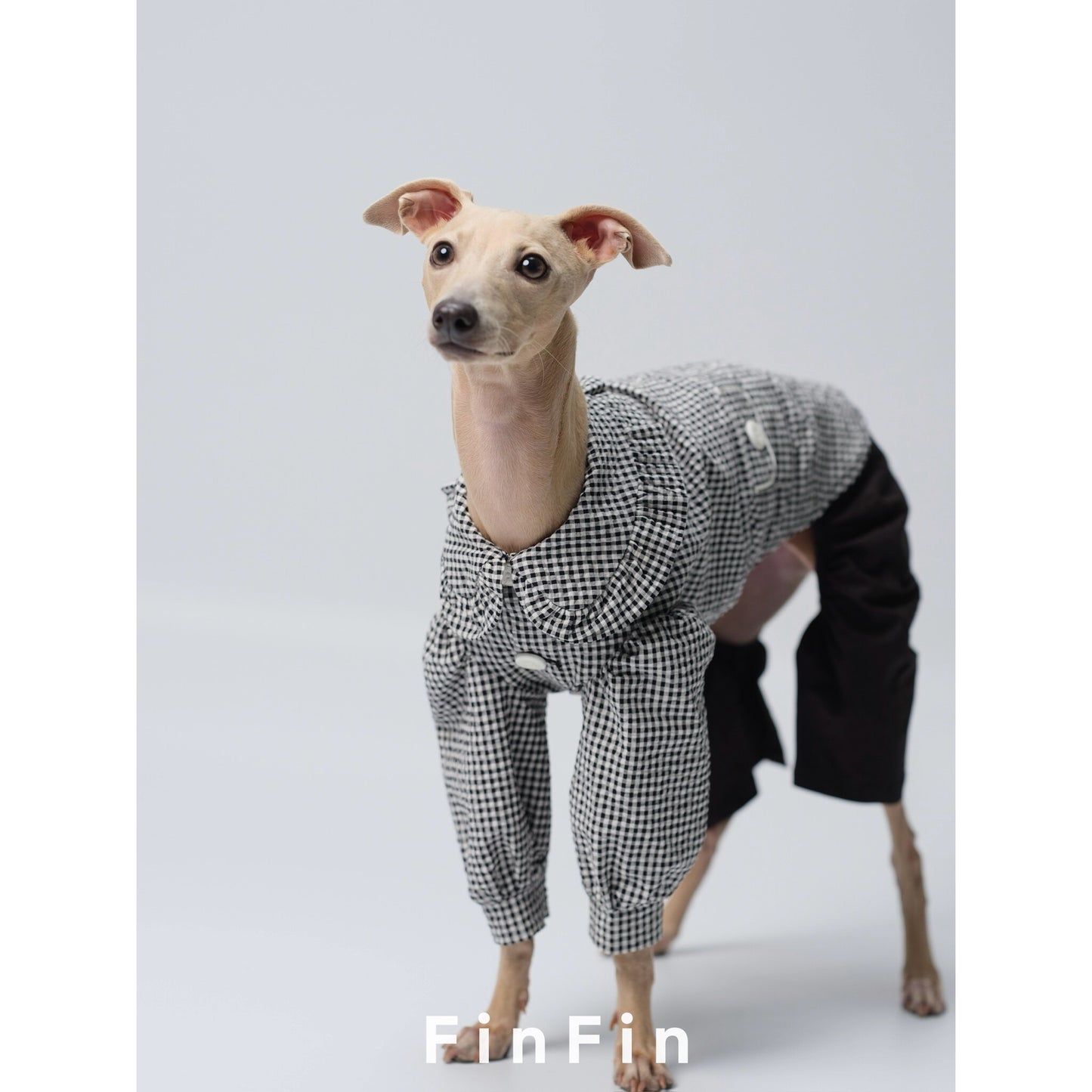 Linen Peter Pan Collar Pet Shirt