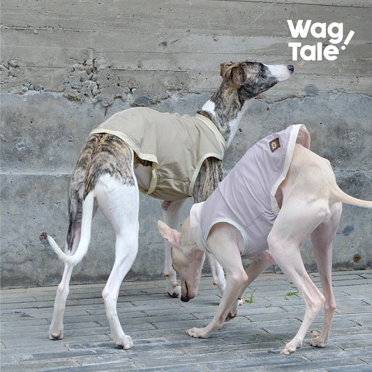 WagTale Cooling Dog Vest