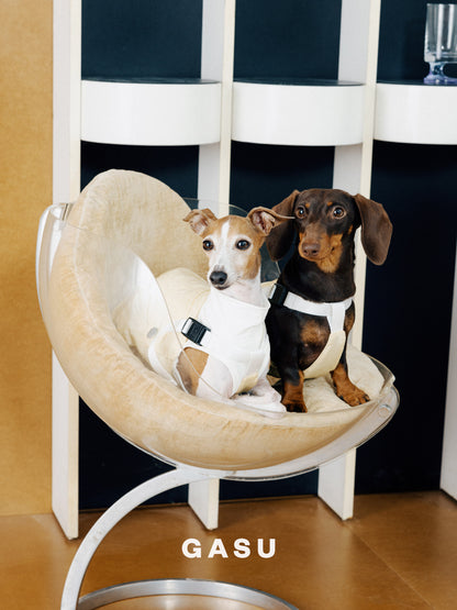 Lightweight Convertible Dog Overalls