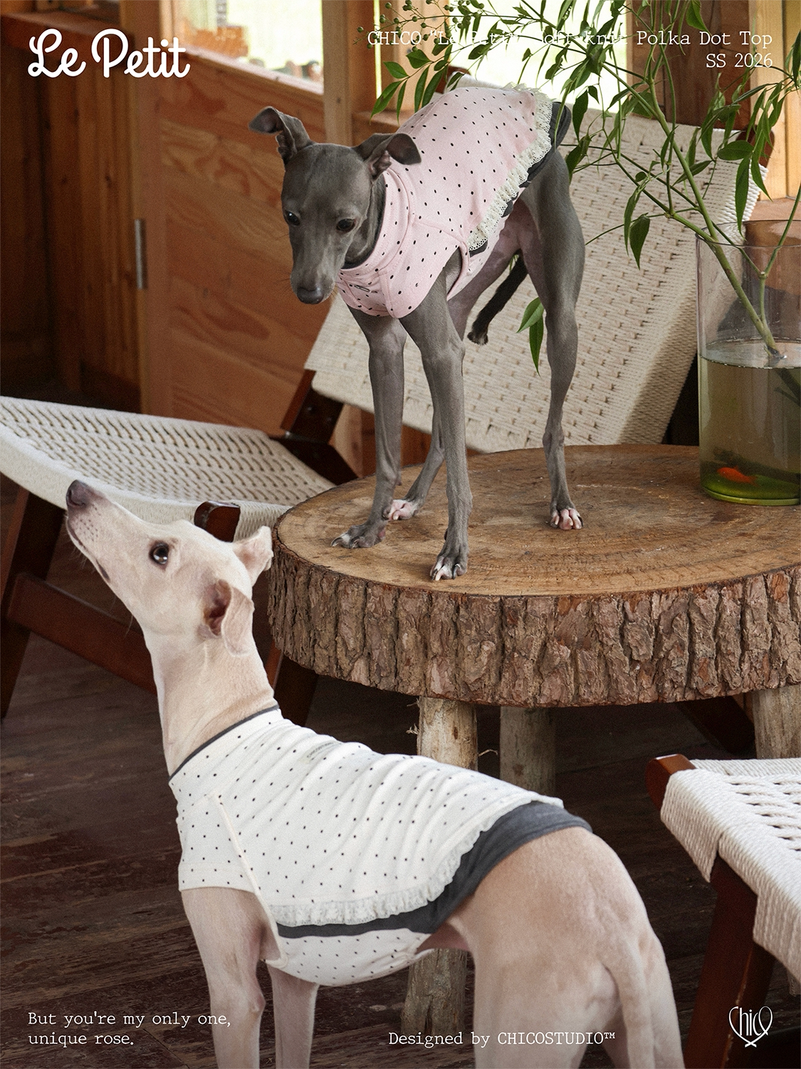 Polka Dot Ruffle Cotton Dog Tank Top