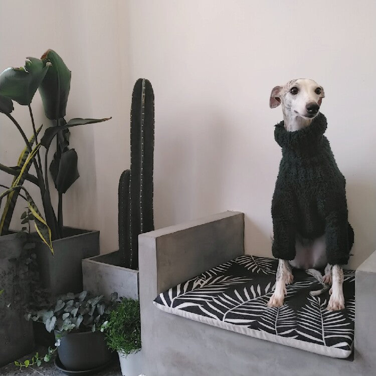 Custom Dog Sweaters Jumpsuit for Whippet Greyhound
