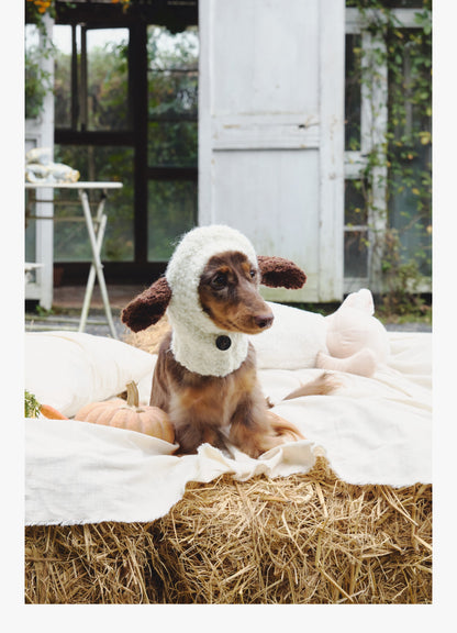 Lamb Ear Dog Winter Knit Hat