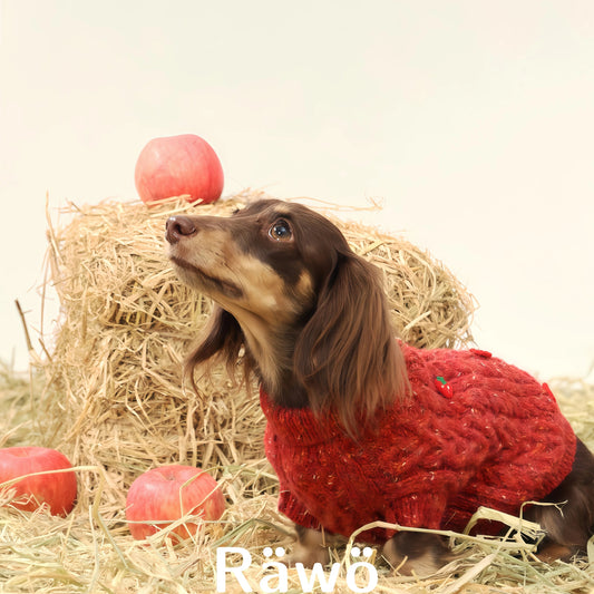 Handmade Wool Dog Sweaters Vest for Christmas New Year