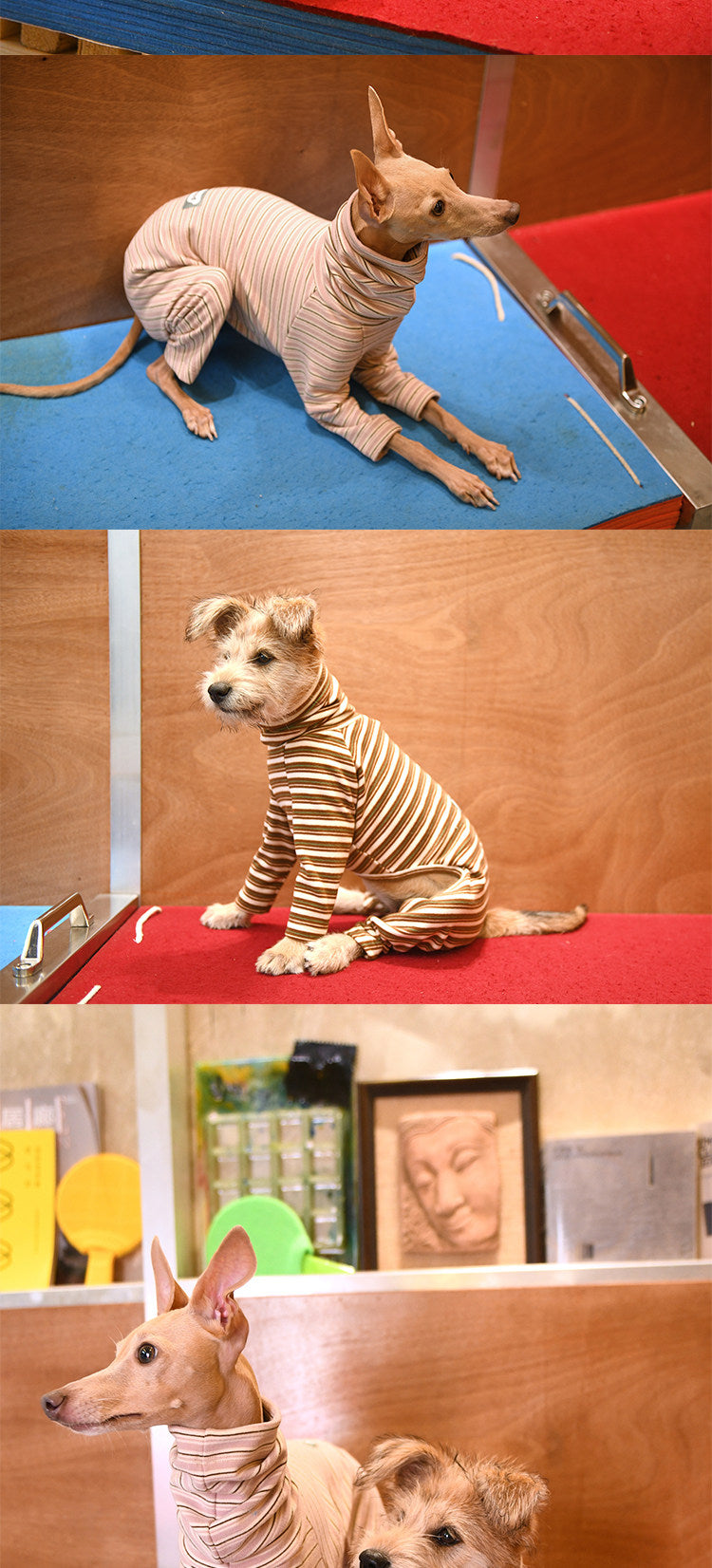 Striped Dog 4-Leg Base Layer
