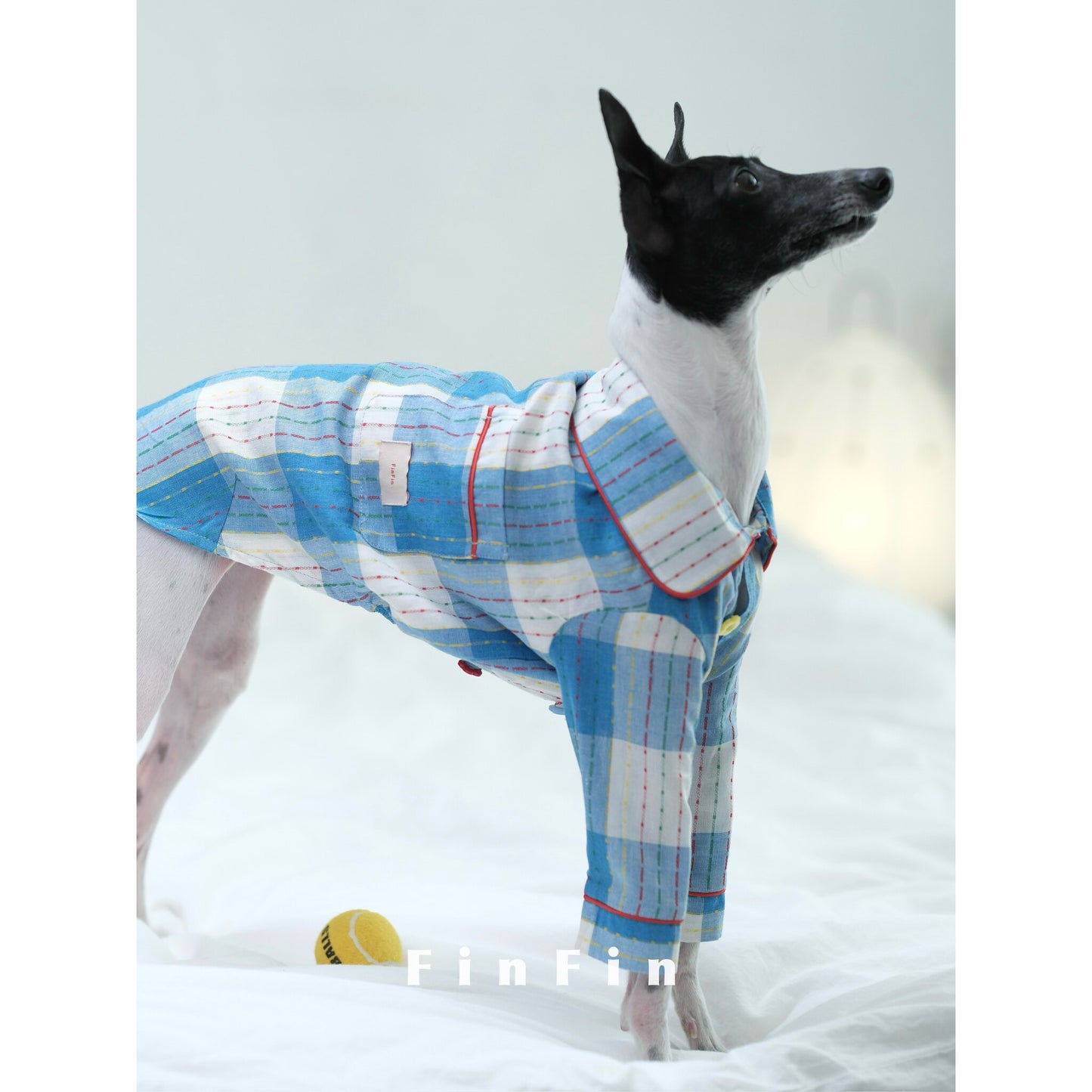 Plaid Cotton Dog Pajamas for Italian Greyhounds