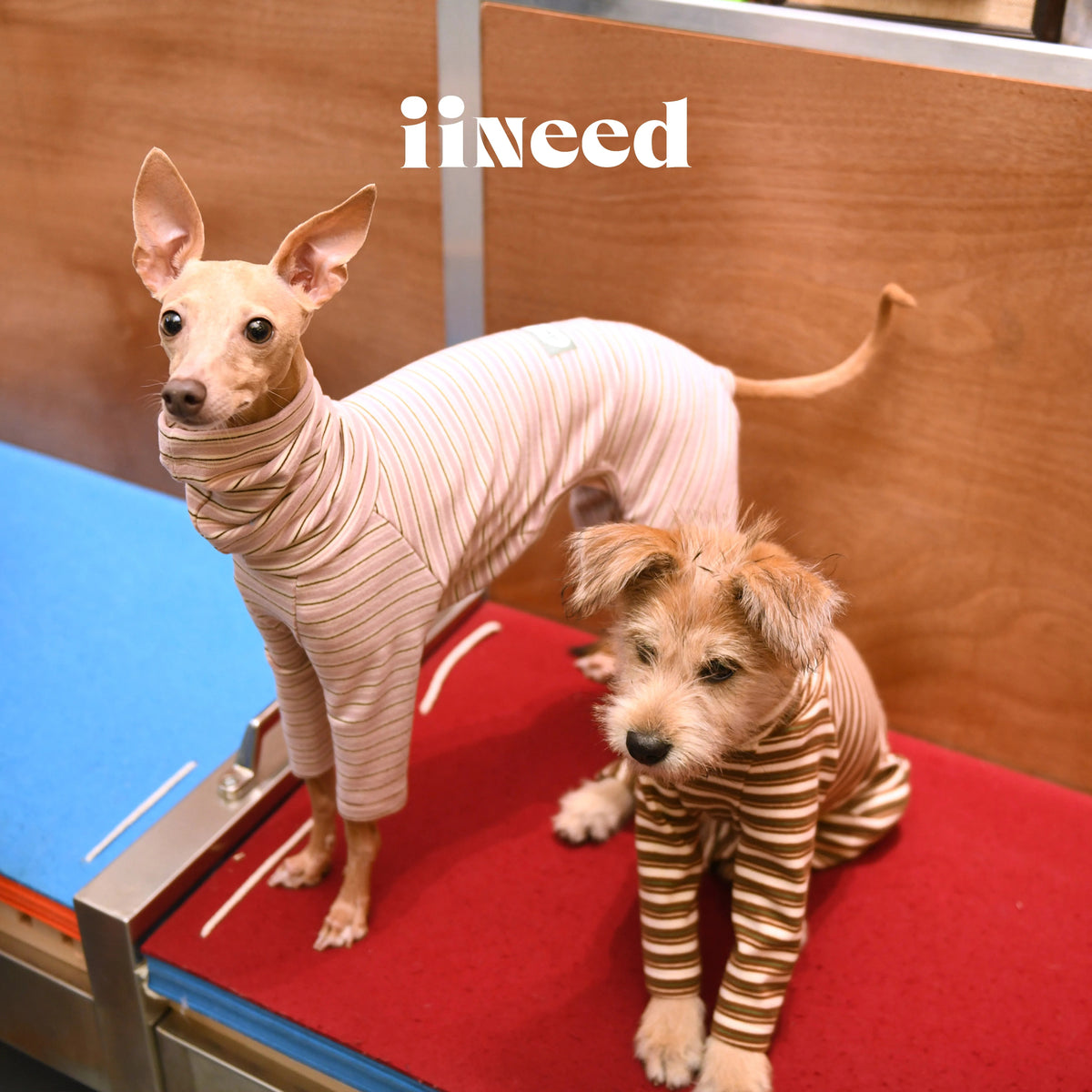 Striped Dog 4-Leg Base Layer