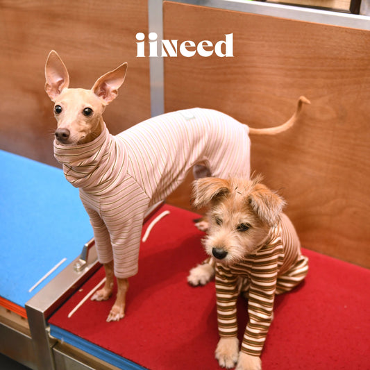 Striped Dog 4-Leg Base Layer