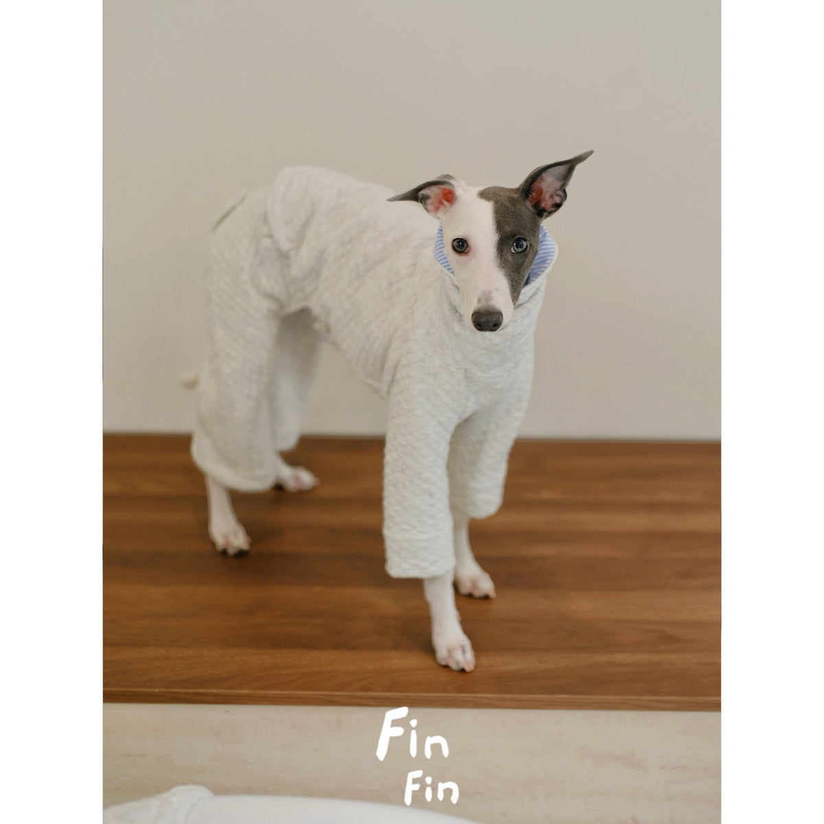 Autumn Dog Hooded Striped Spliced Sweatshirt