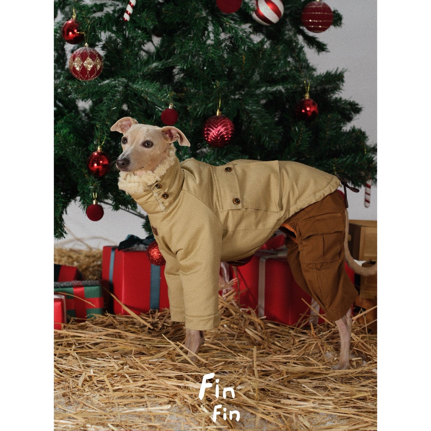 "Bread Crumb" Reversible Pet Windbreaker
