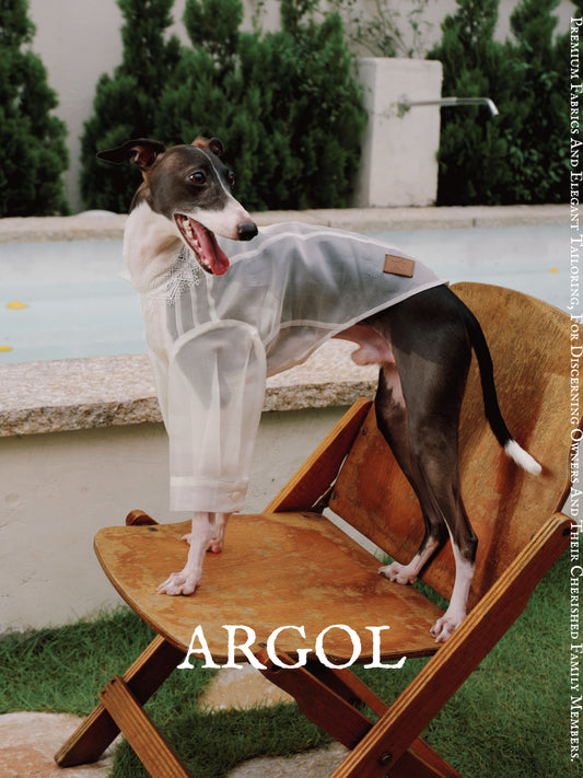 Silk Dog Resort Shirt