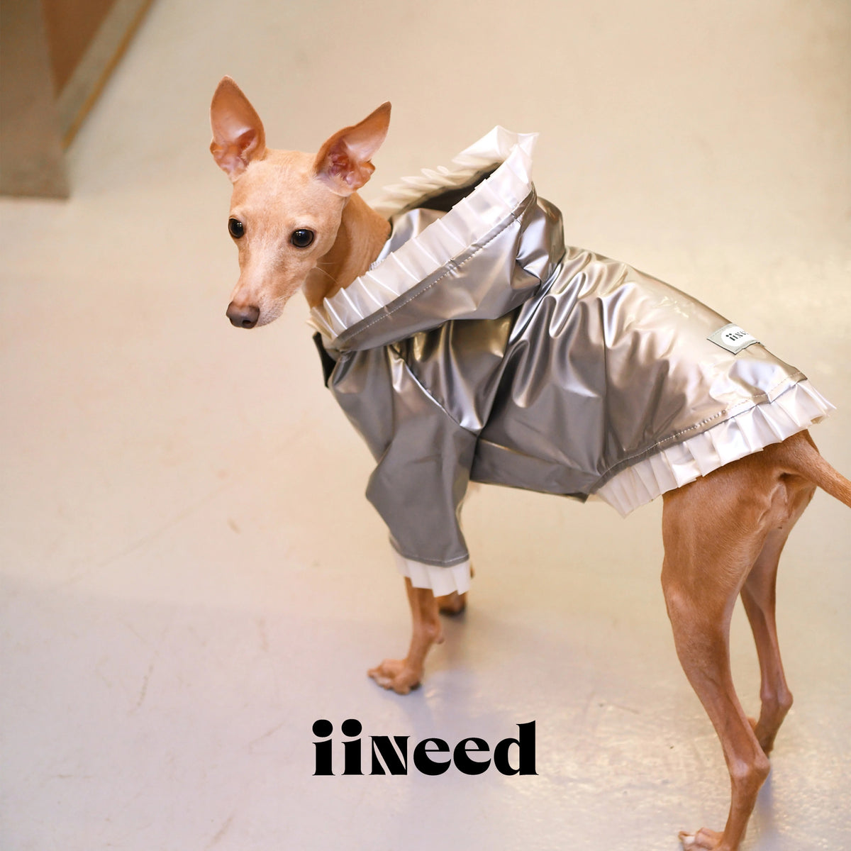 Color Block Dog Windbreaker