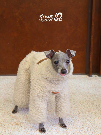 Wool-Blend Four-Leg Dog Onesie for Italian Greyhounds