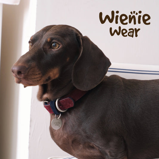 wienie wear Vintage Suede Leather Collar