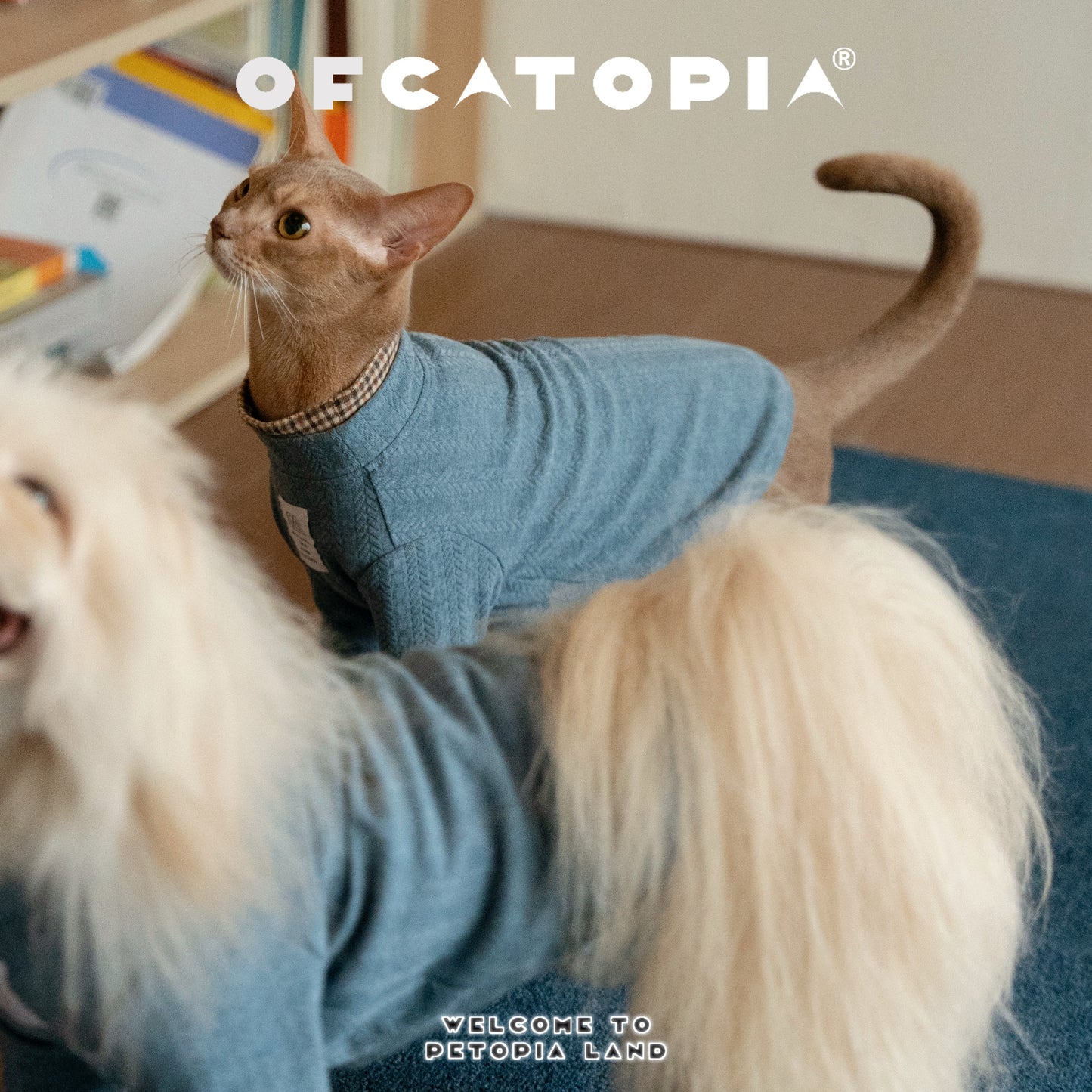 OfCATOPIA Soft Double-Collar Plaid Knit Sweater