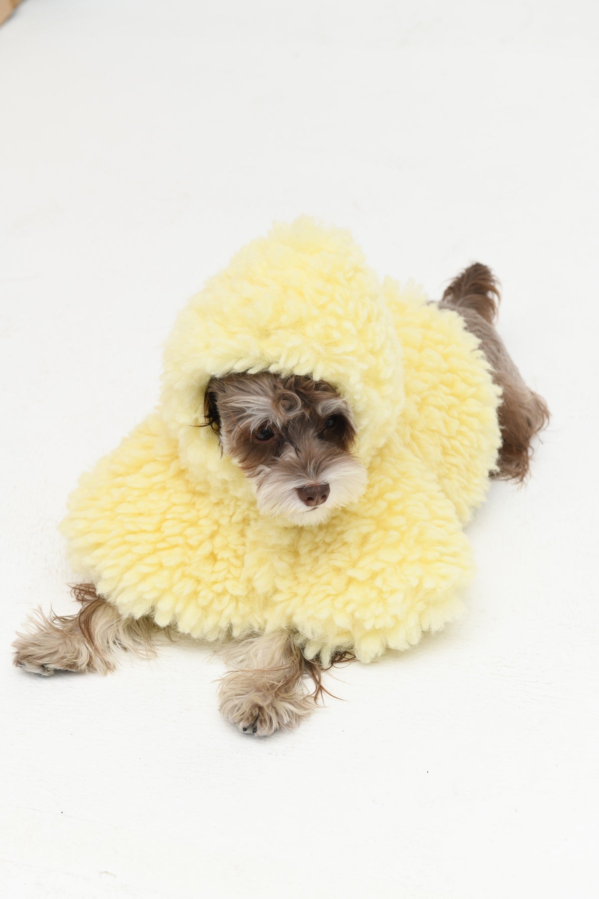 Butter Yellow Plush Cape Pet Hat