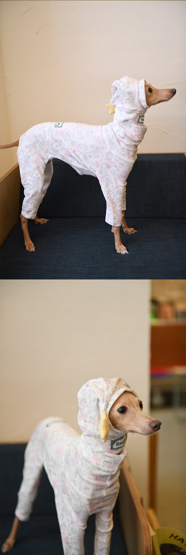 Dog Pajama Base Layer with Optional Hat