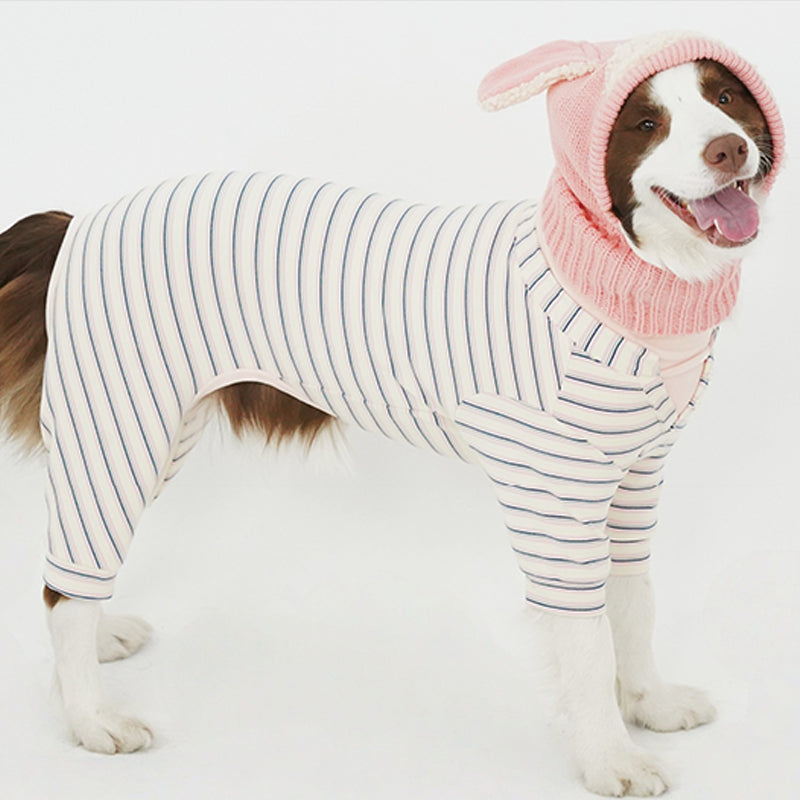 Warm Winter Dog Jumpsuit & Hat