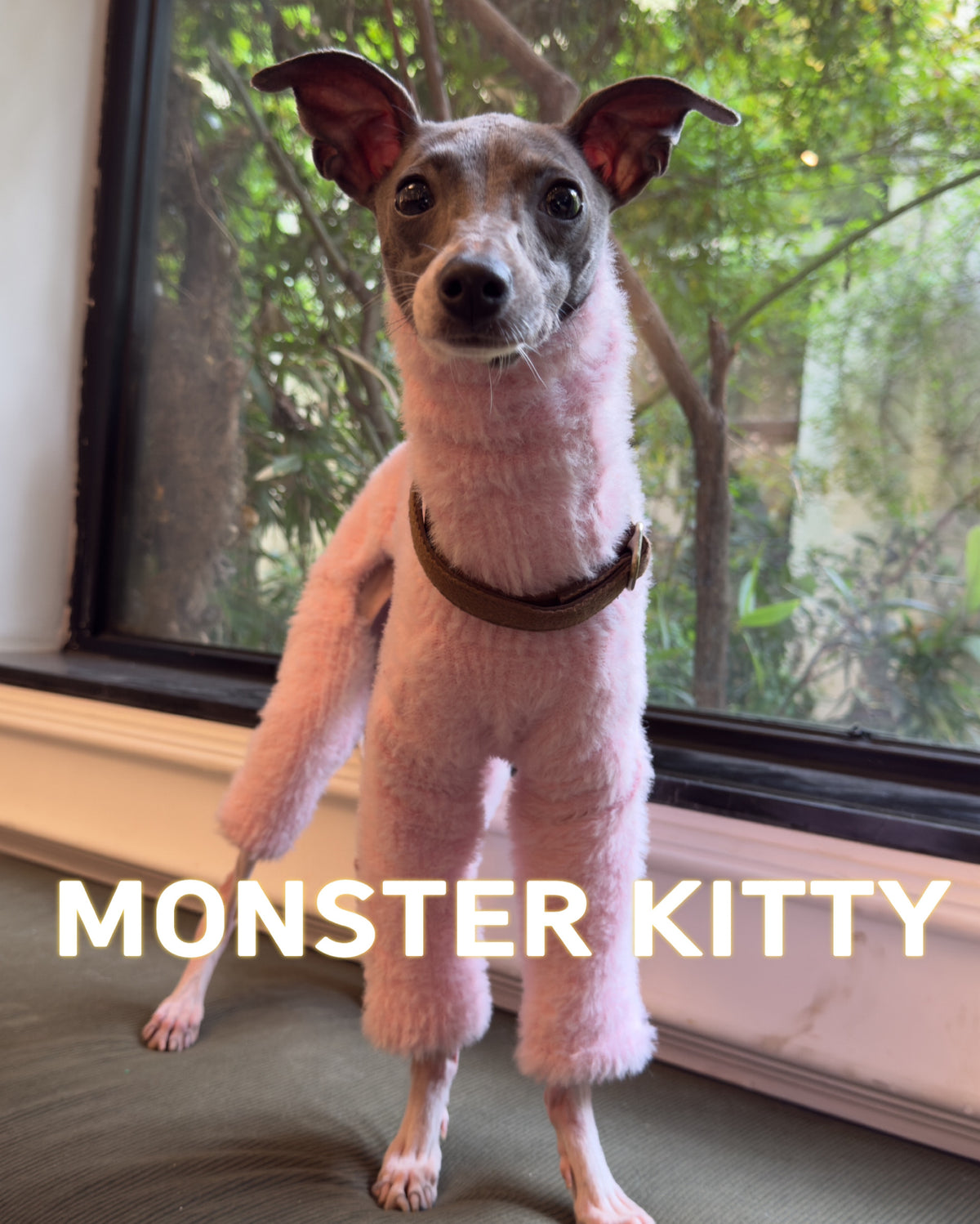 Pink Fleece Dog Sweaters Jumpsuit