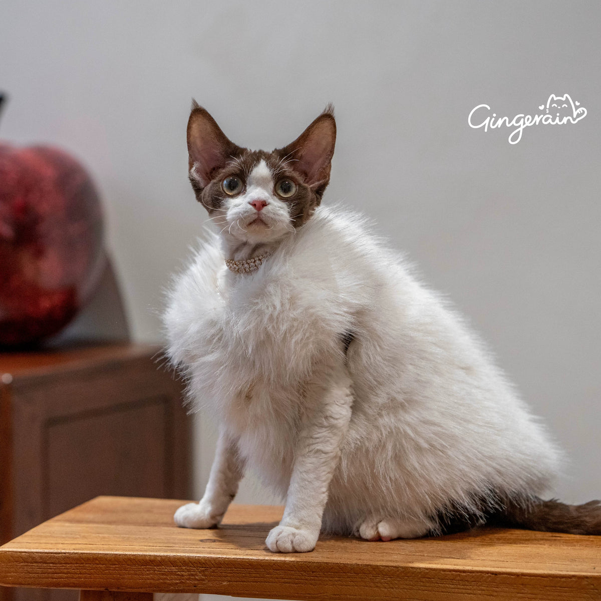 Faux Fur Cat Winter Vest Coat