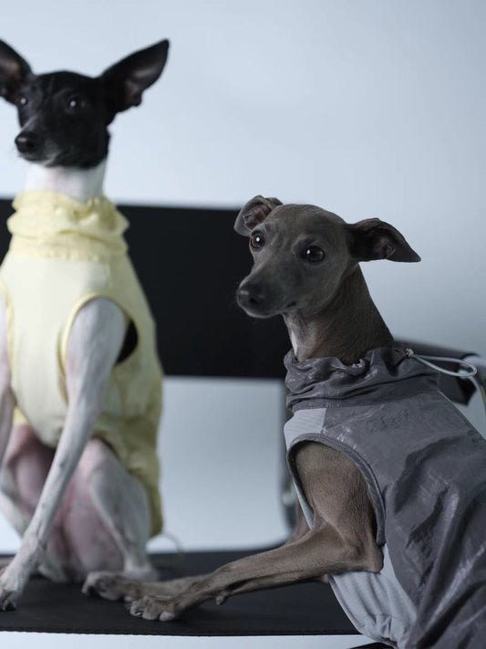 Urban Utility Dog Vest