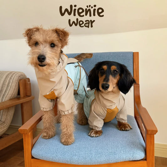 3-in-1 Dog Rain Jacket