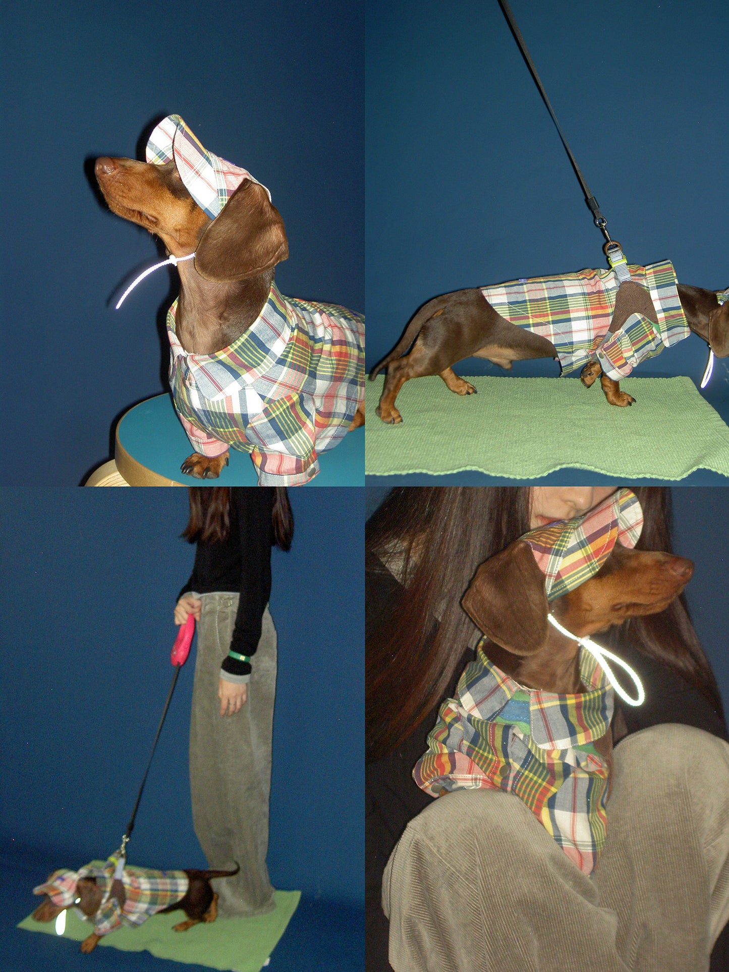 POXFFEE Plaid Shirt or Hat for Small Dogs