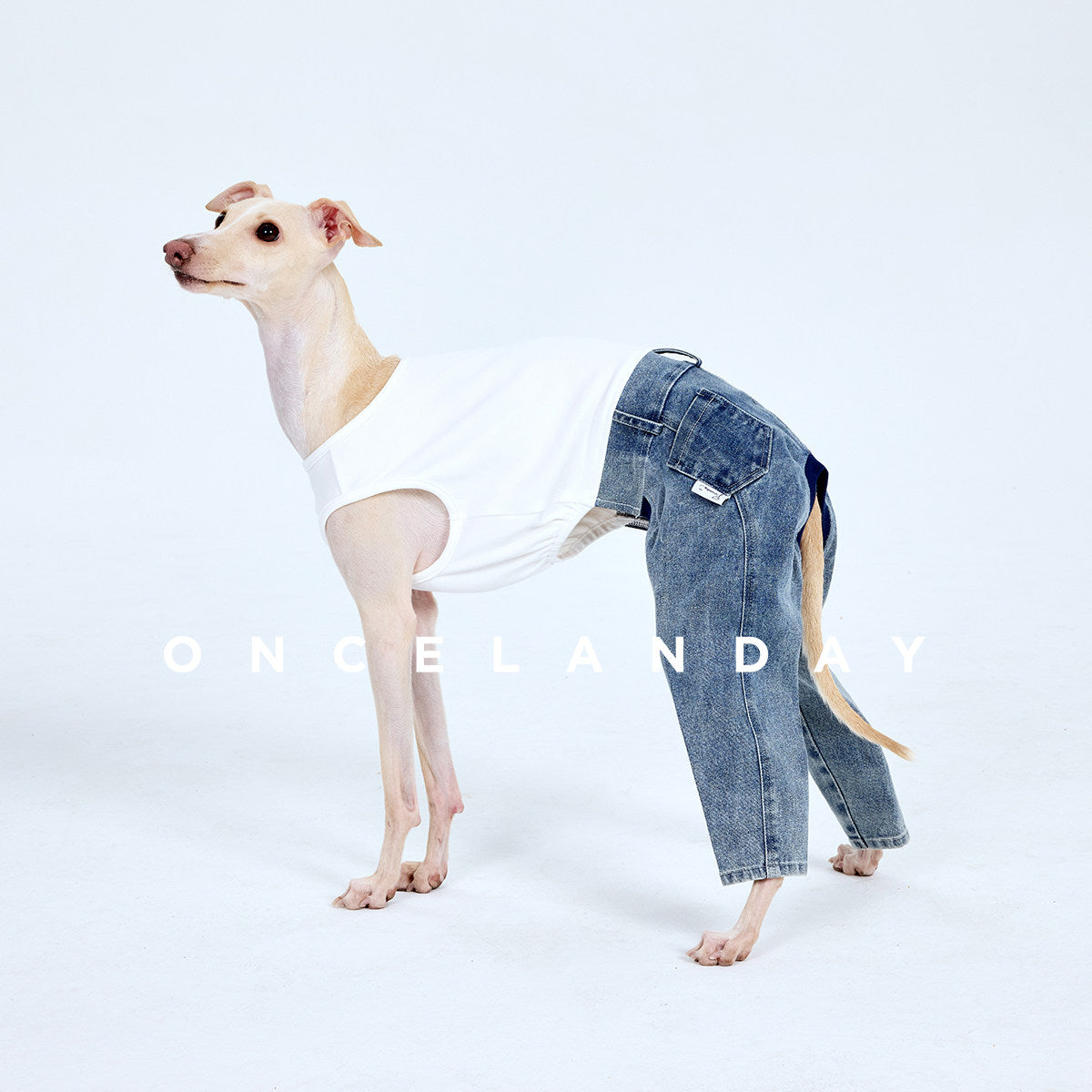 ONCELANDAY Fall Patchwork Washed Jeans for Whippets