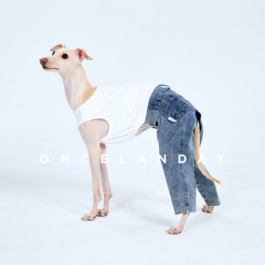 ONCELANDAY Fall Patchwork Washed Jeans for Whippets