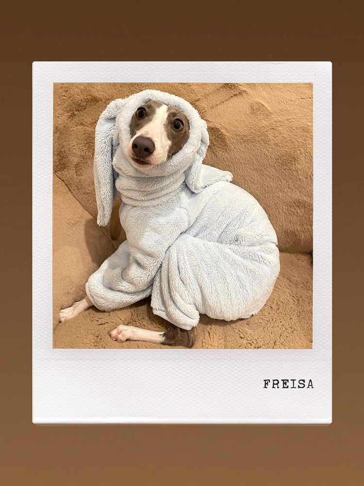Rabbit Ear Fleece Dog Jumpsuit Hoodie