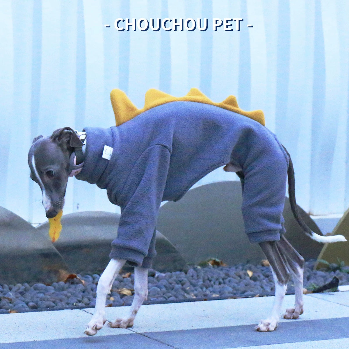 Dinosaur Fleece 4-Leg Dog Jumpsuit