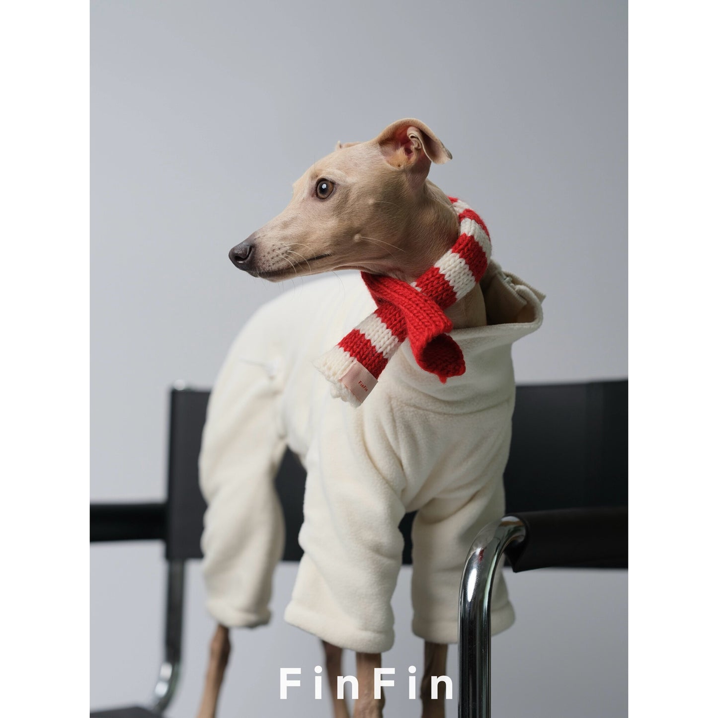 Striped Wool-Blend Dog Scarf for Small Breeds