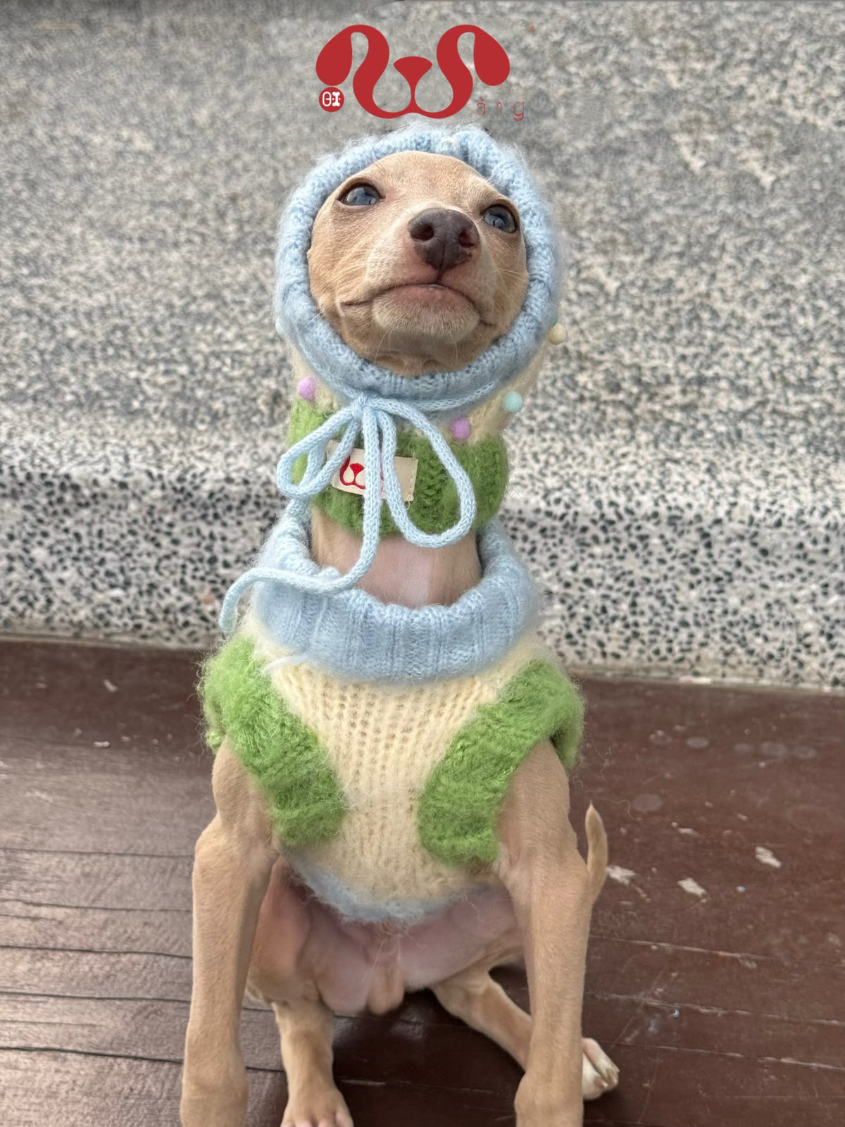 Wool Dog Vest & Pom Pom Hat
