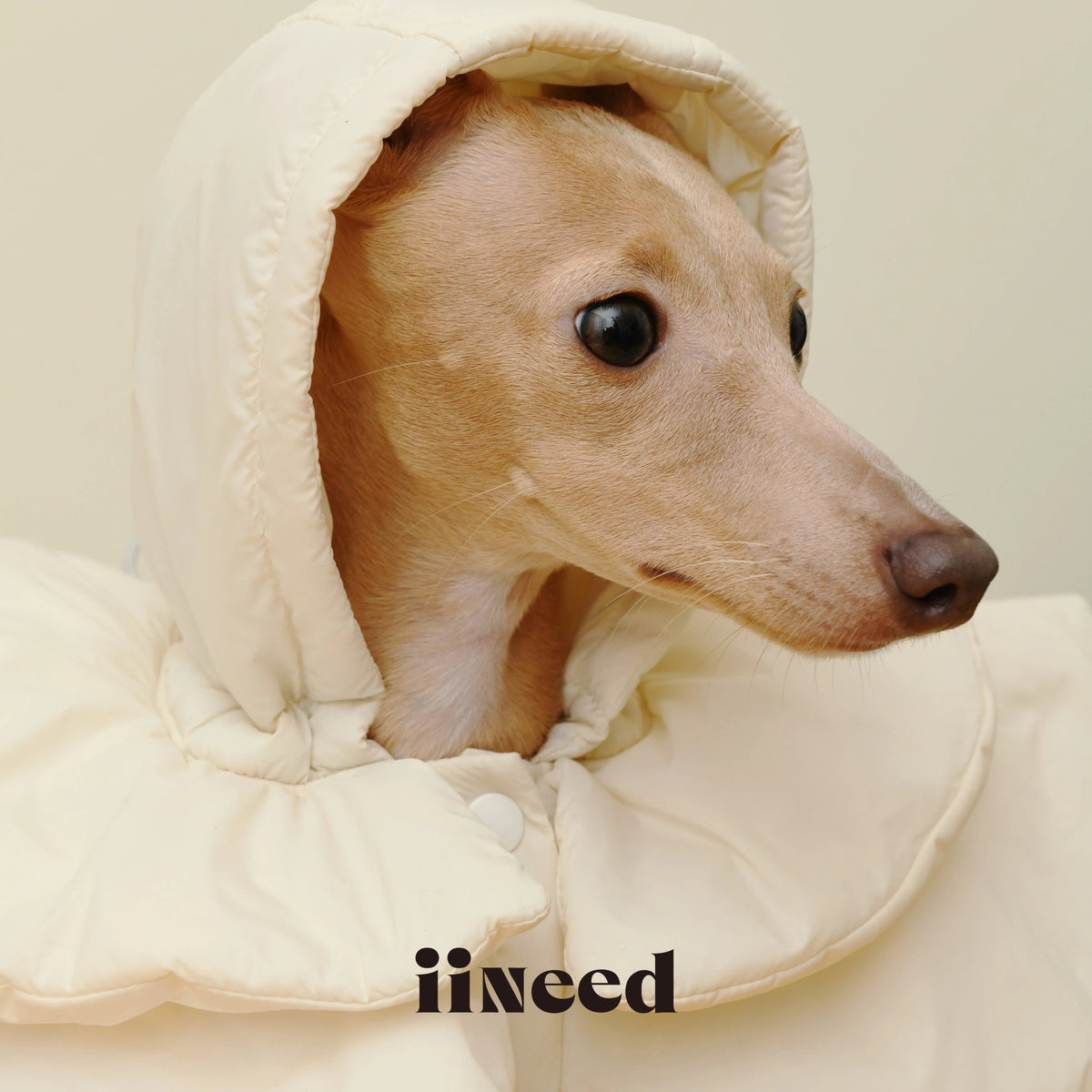 White Padded Pet Hat for Dogs Cats