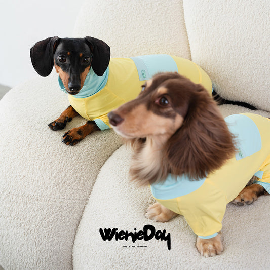 Wienieday Ice-Cool Four-Leg Sunsuit for Dachshunds
