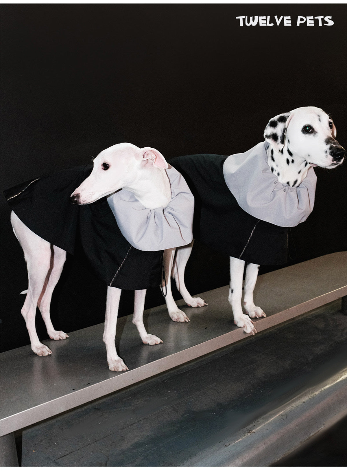 Waterproof Dog Raincoat with Flared Hood
