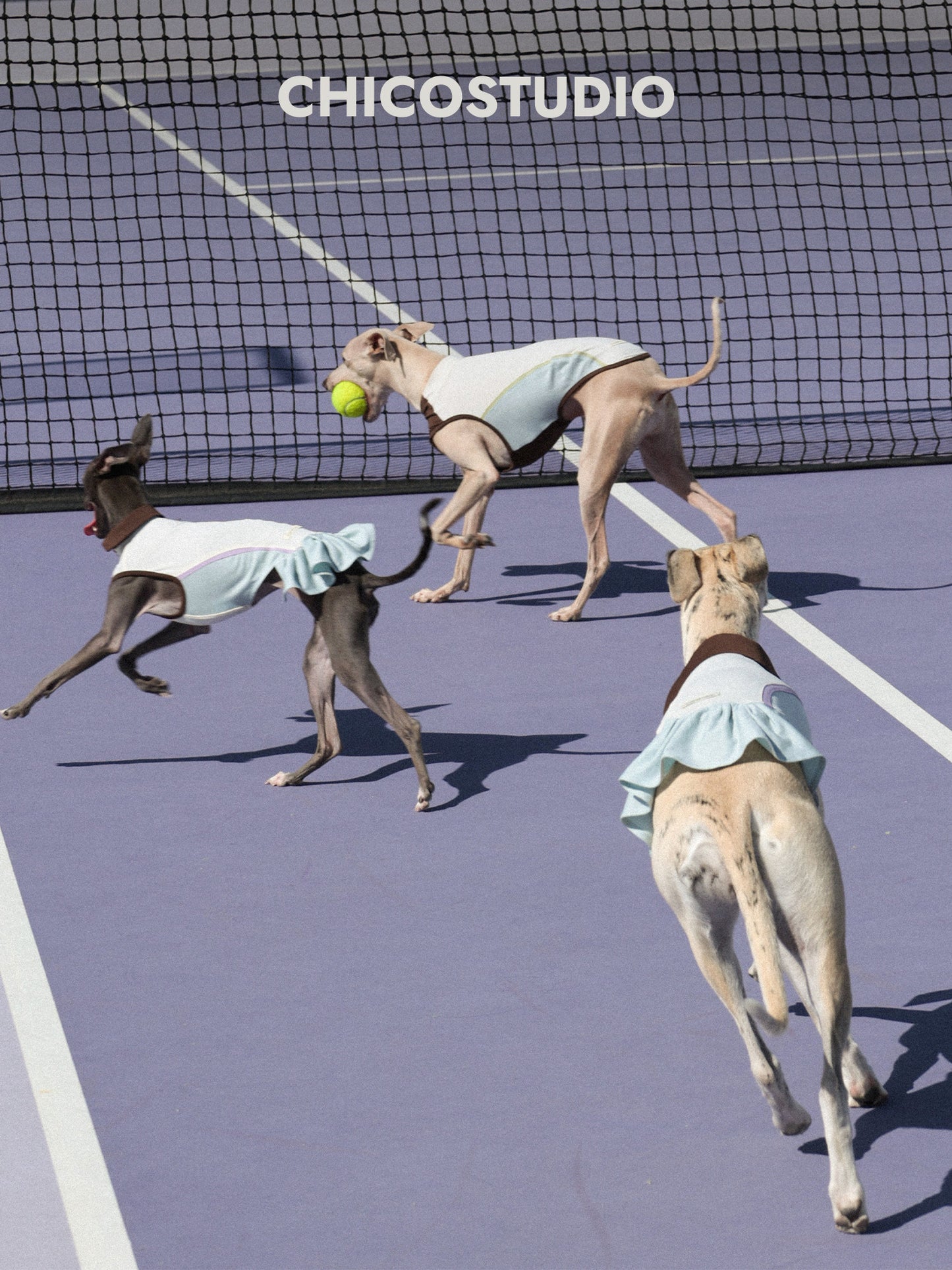 CHICO Dog Sun Protection Tennis Dress