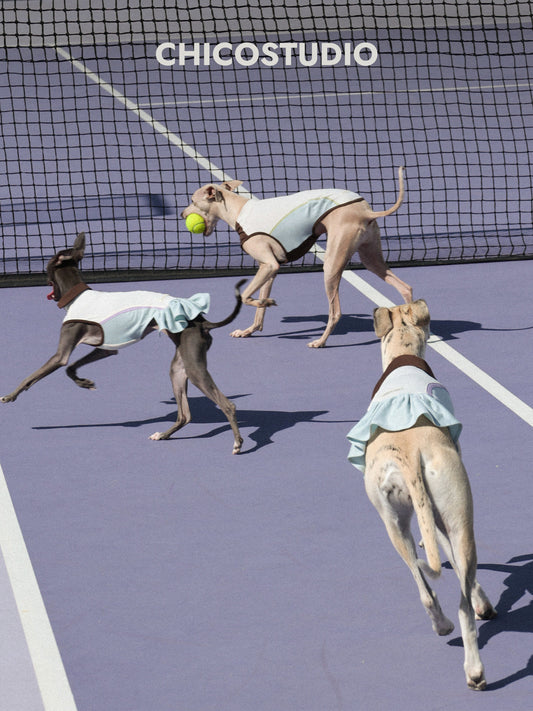 CHICO Dog Sun Protection Tennis Dress