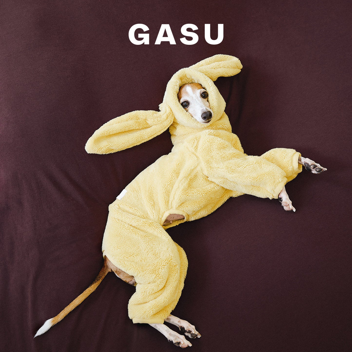 Rabbit Ear Fleece Dog Jumpsuit Hoodie