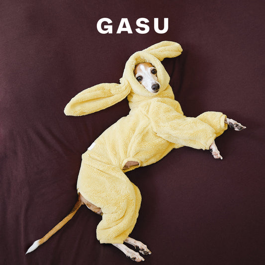 Rabbit Ear Fleece Dog Jumpsuit Hoodie