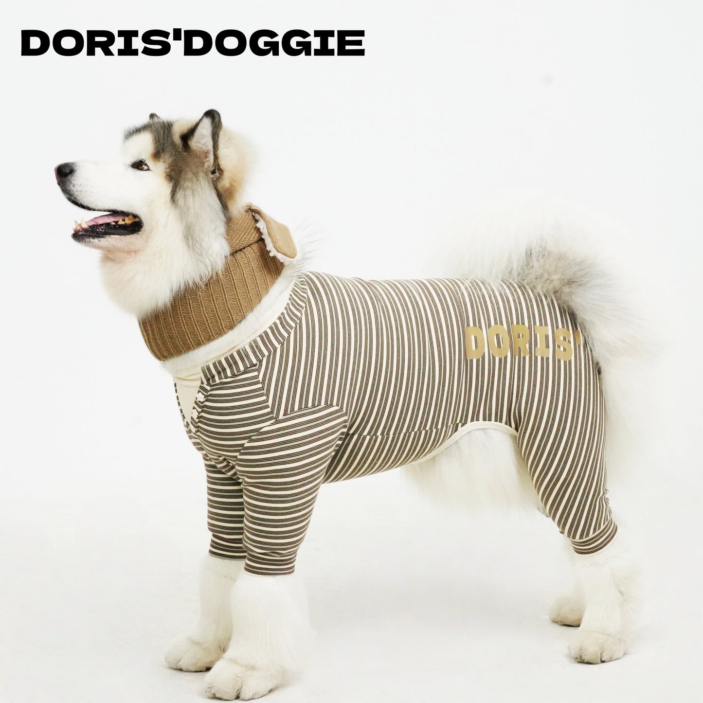 Warm Winter Dog Jumpsuit & Hat