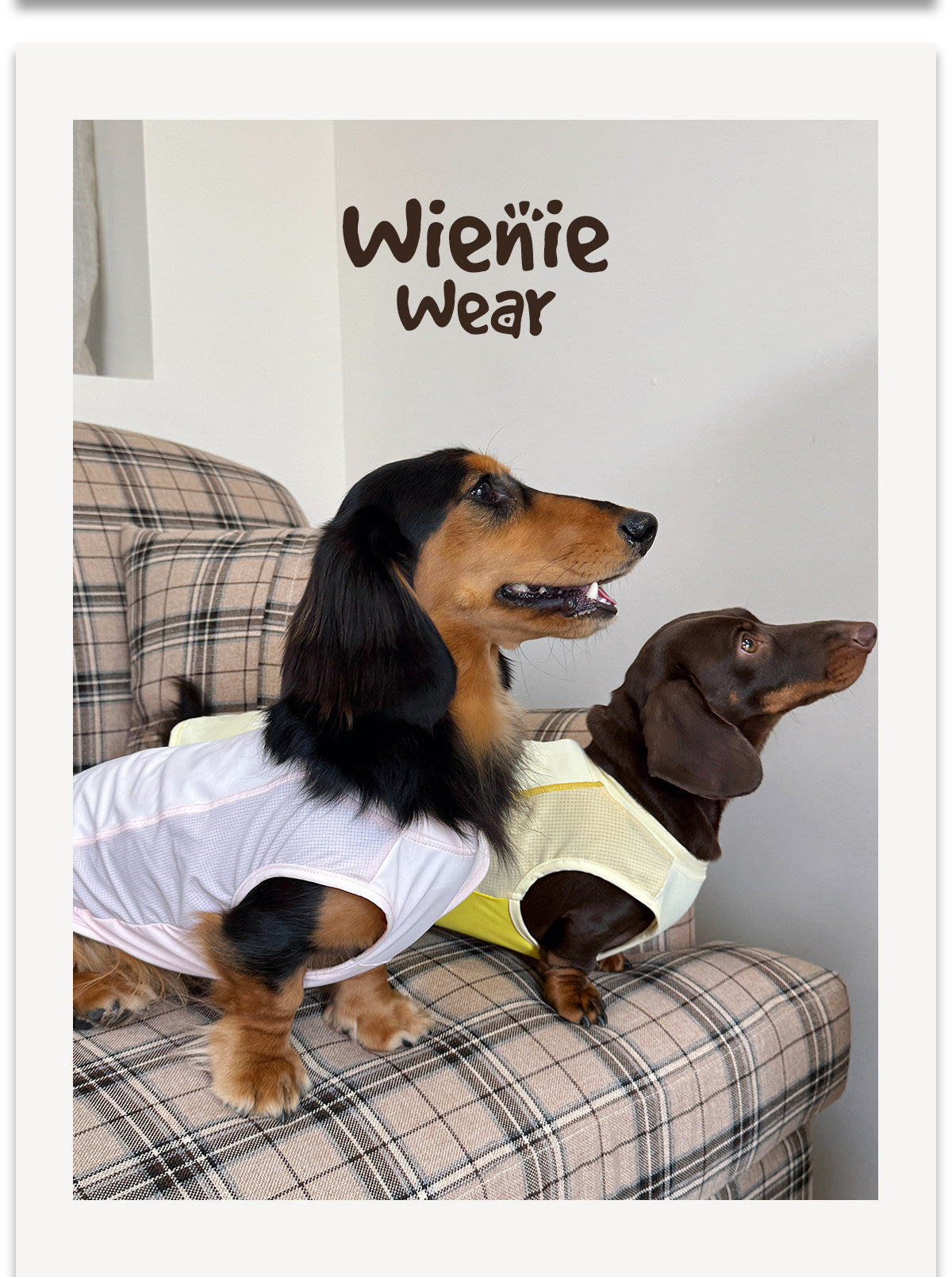 UPF50+ Cooling Dog Vest