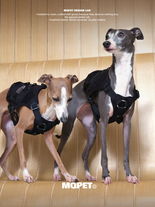Adjustable Outdoor Dog Harness