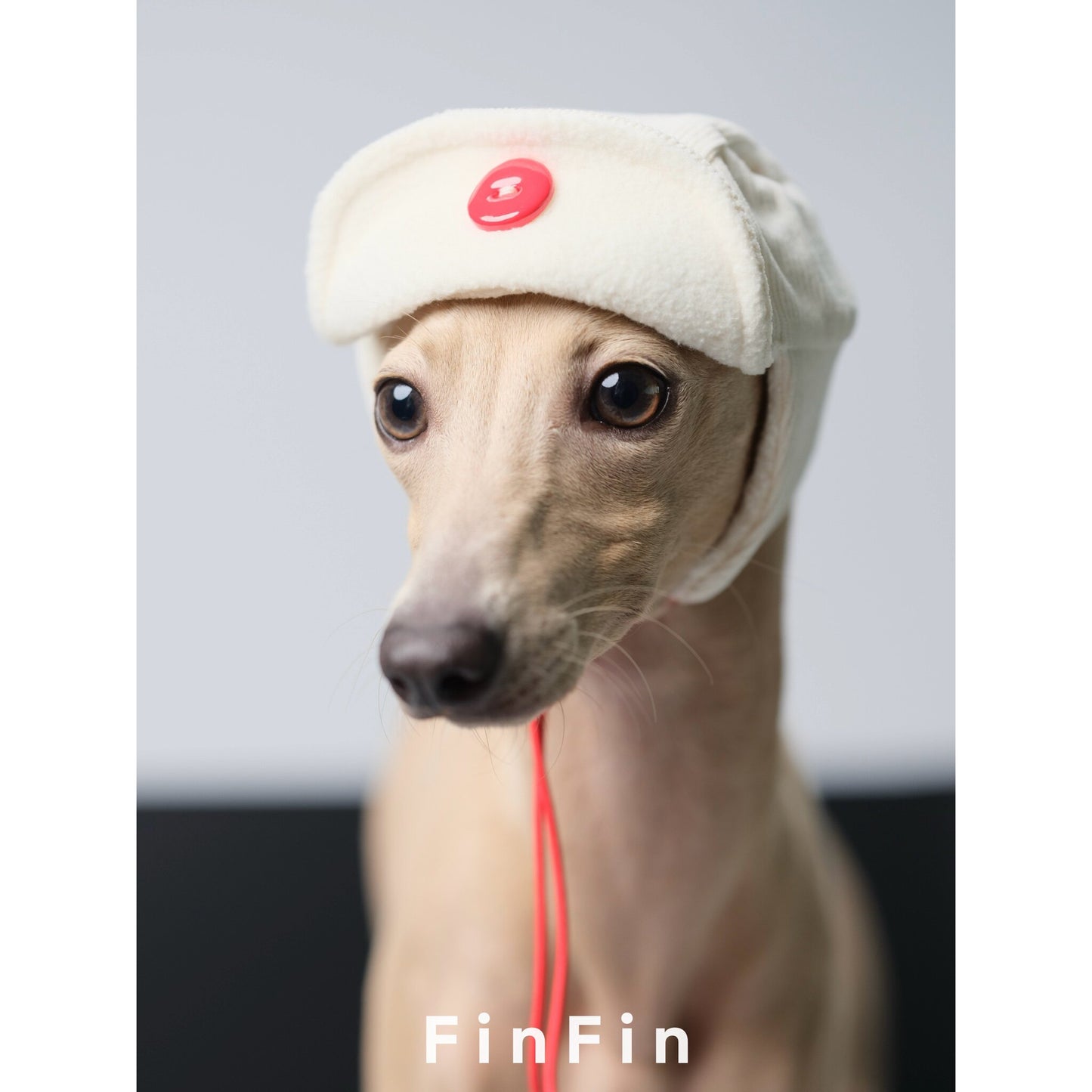 Adjustable Fleece Aviator Hat for Dogs