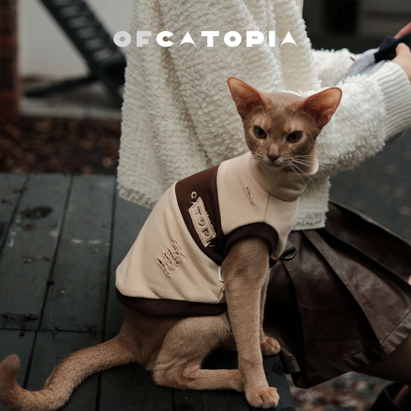 OfCatopia Destroyed Sleeveless Vest for Pets