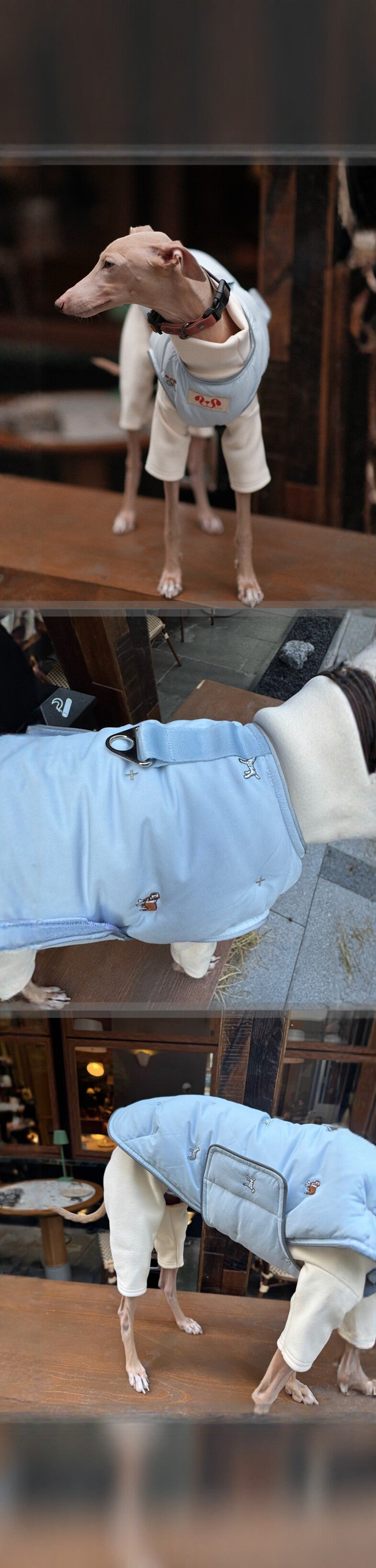 Dog Down Vest & Scarf, Sold Separately