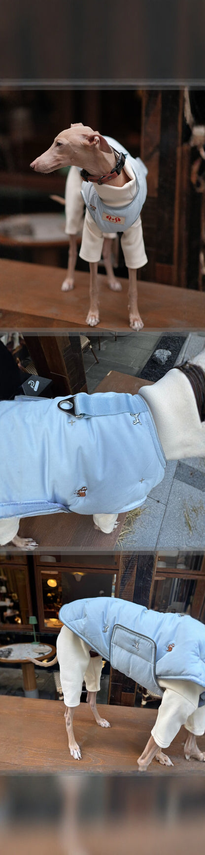 Dog Down Vest & Scarf, Sold Separately