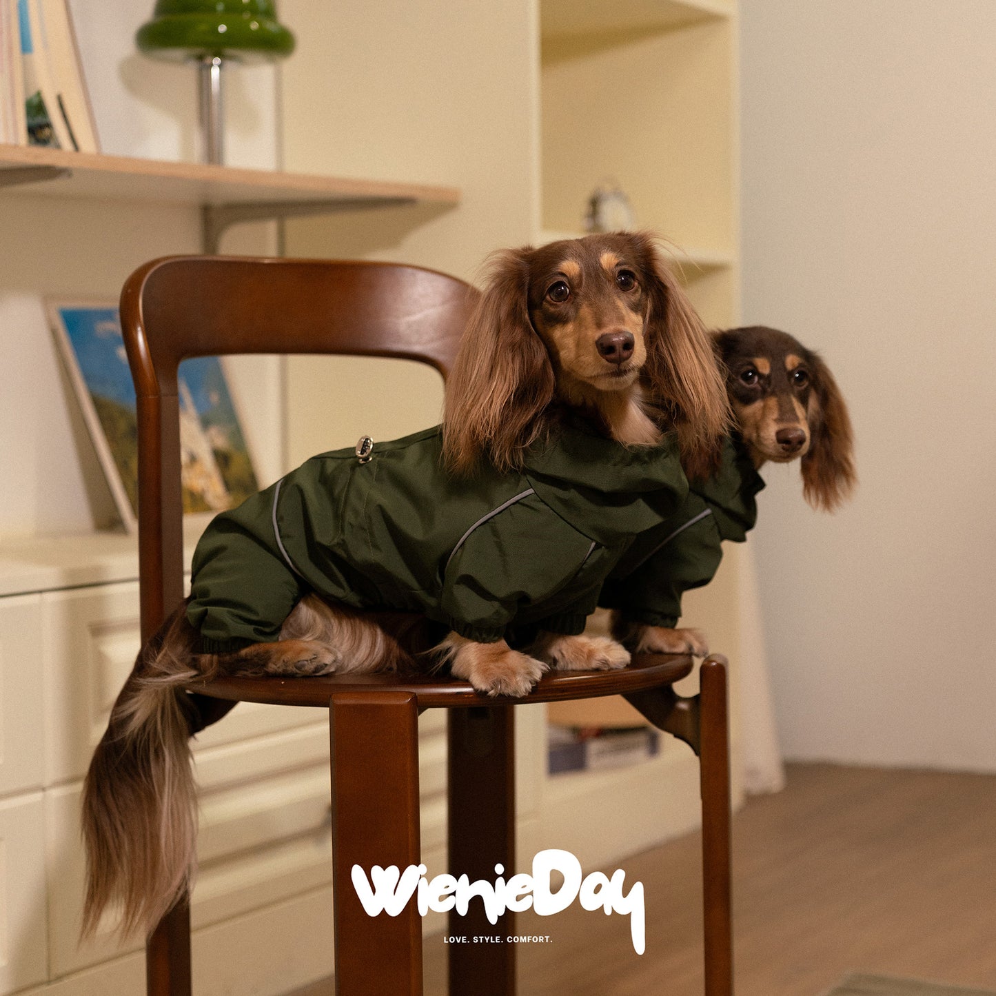 WienieDay Full-Body Dachshund Rain Jacket