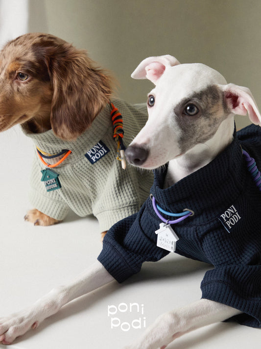 Waffle Dog Sweaters Jumpsuit for Sighthound