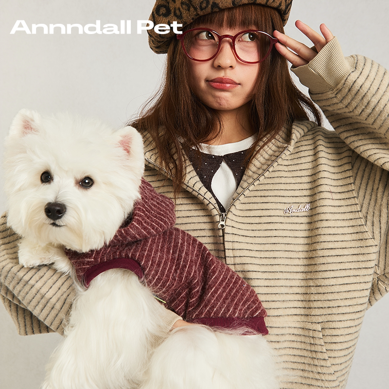 andall Matching Dog Sweatshirt